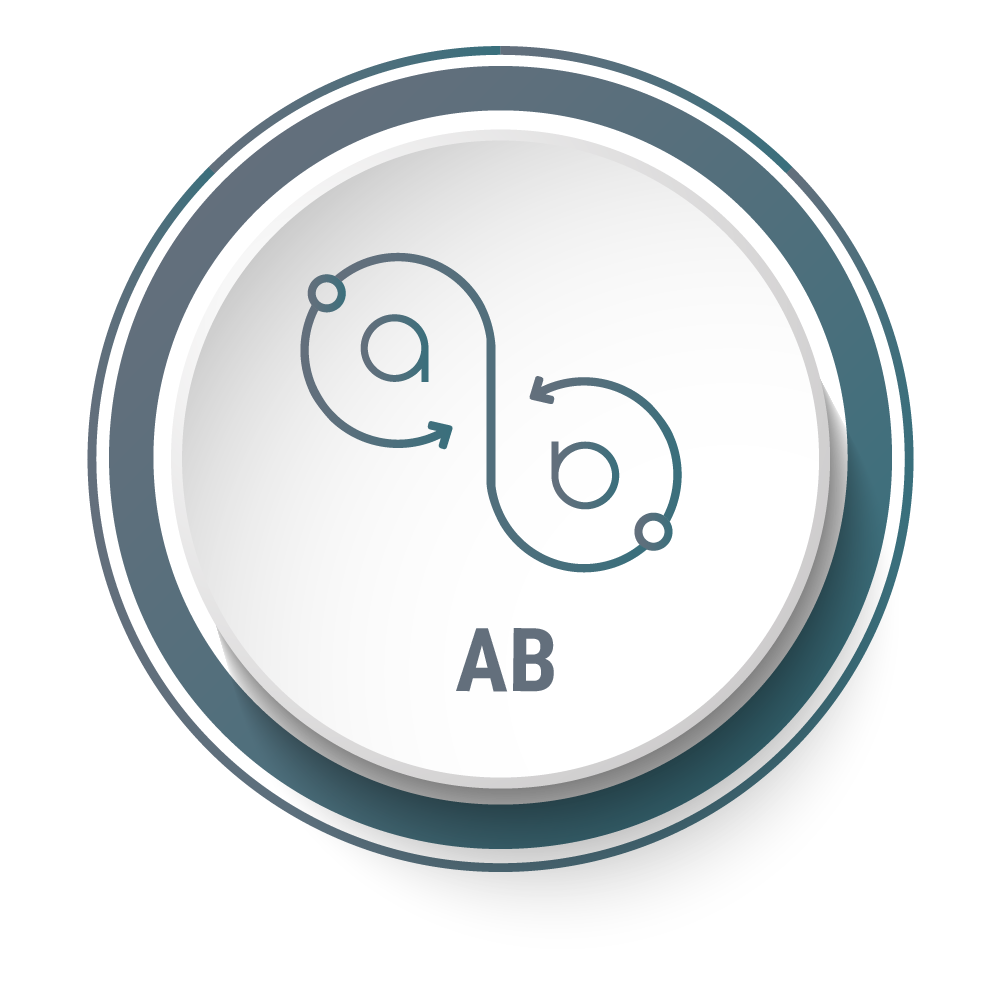 Active Backup (AB)