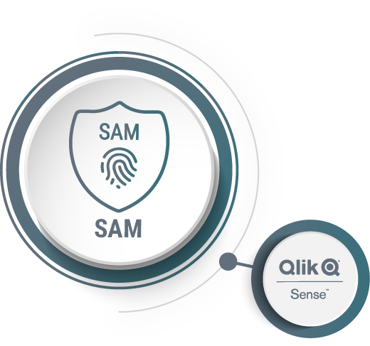 SAM for Qlik Sense