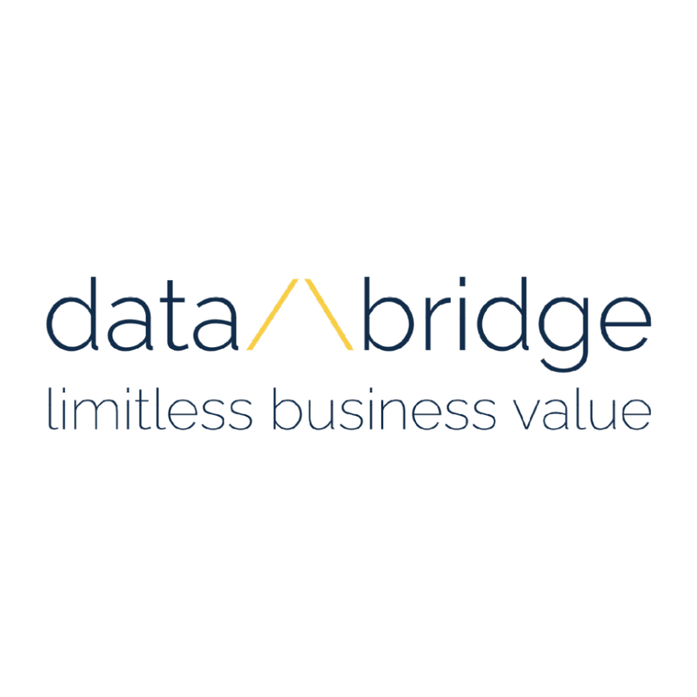 DATA BRIDGE EBIEXPERTS PARTNER