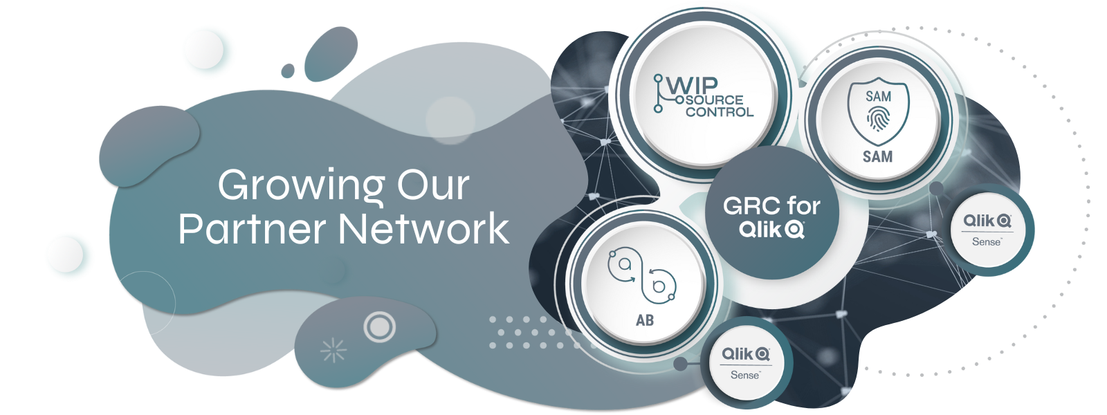 backup for qlik