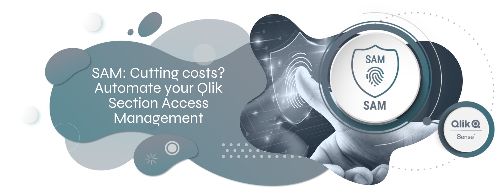 version management for qlik