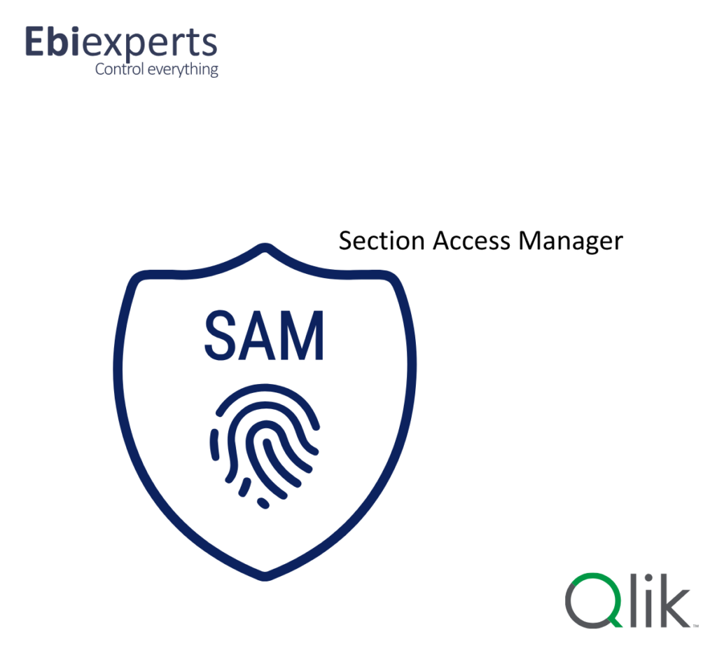 Section Access Manager for Qlik