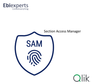 Section Access Manager for Qlik